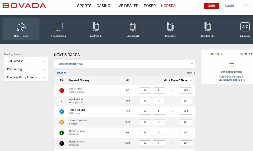 Bovada Racebook